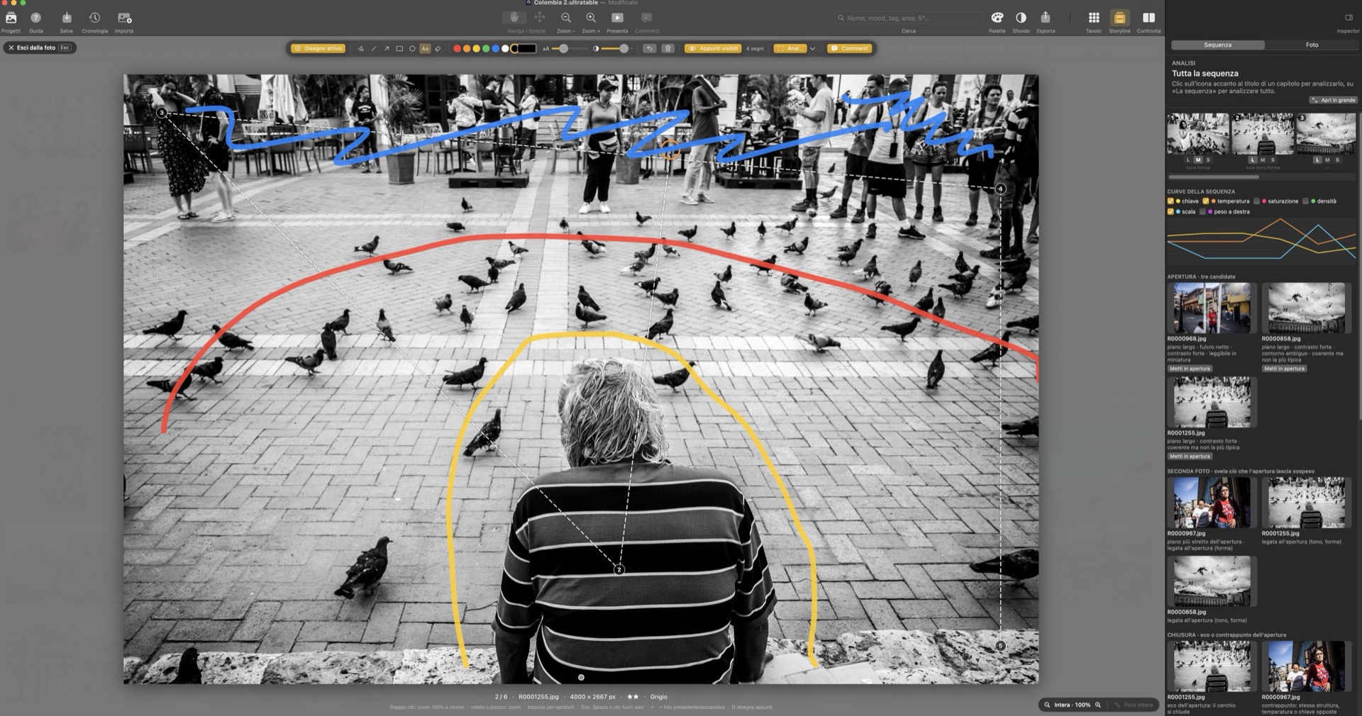 Appunti disegnati a mano su una fotografia aperta